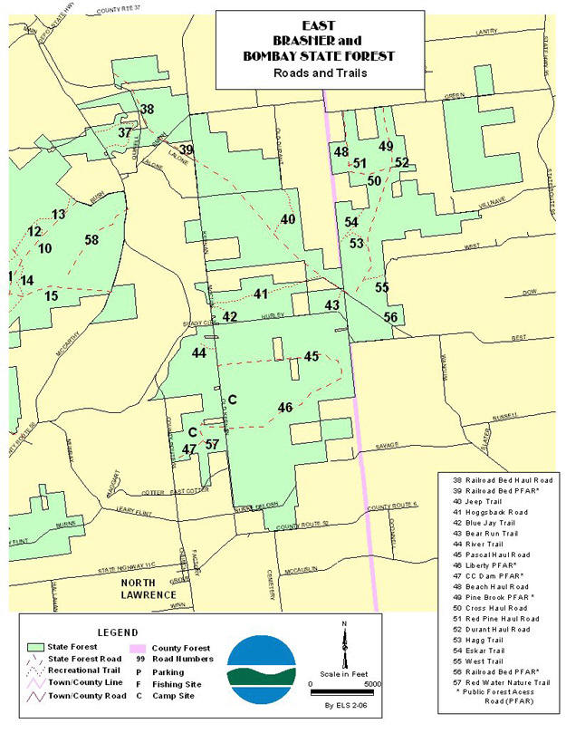 Brasher/Bombay State Forest
