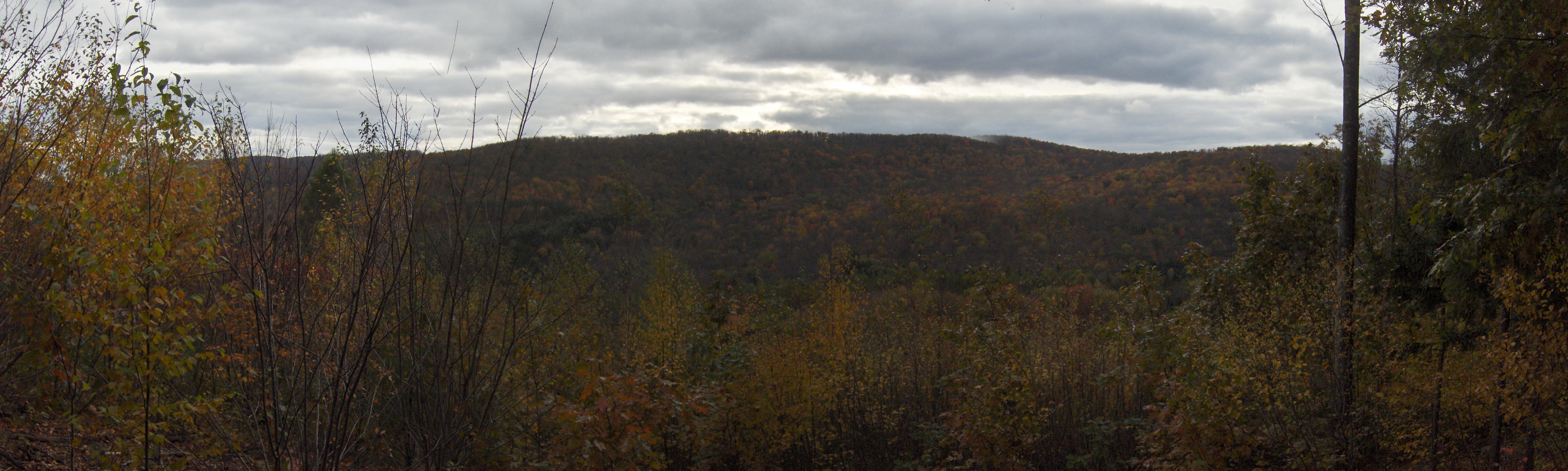 FLT Barbour Brook State Forest