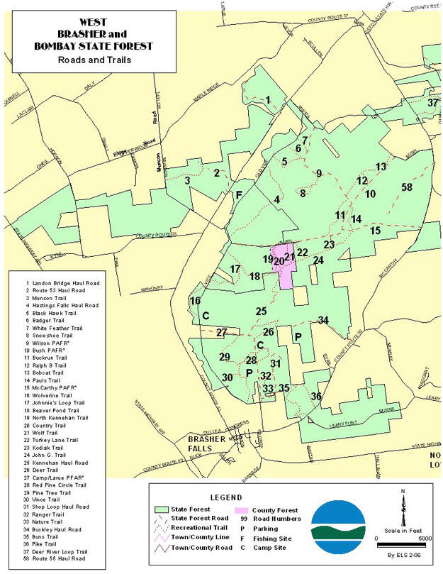 Brasher/Bombay State Forest
