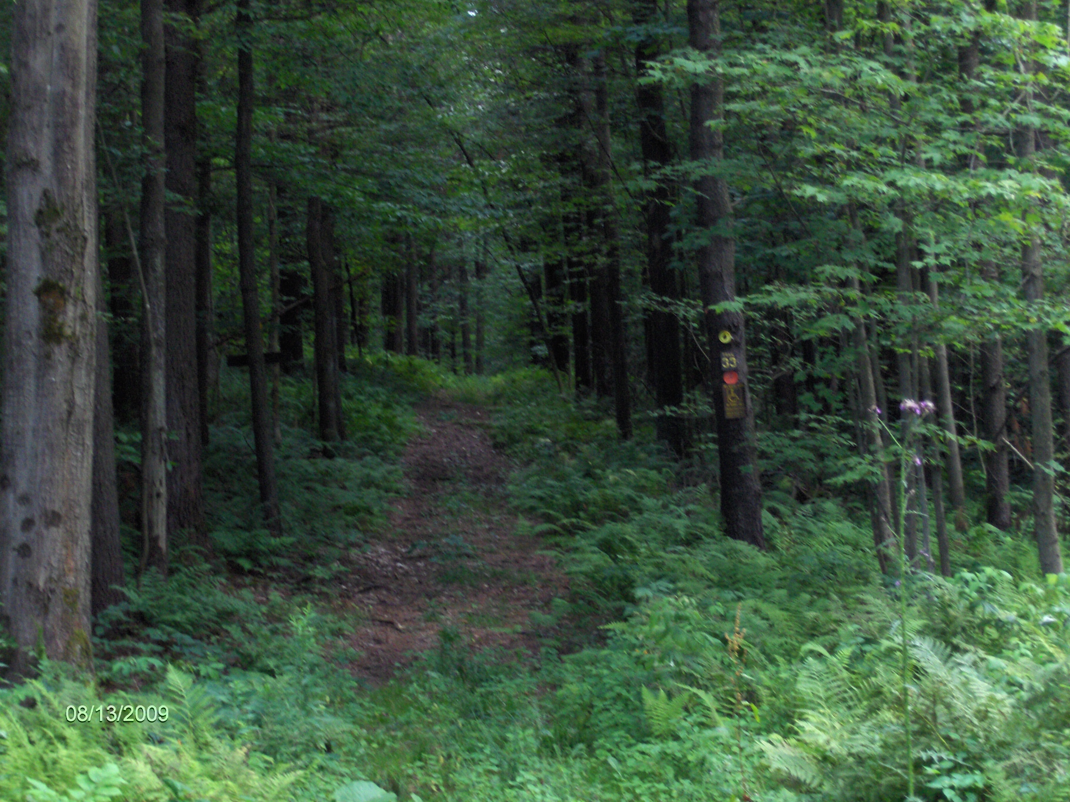 http://cnyhiking.com/HPIM8746.JPG