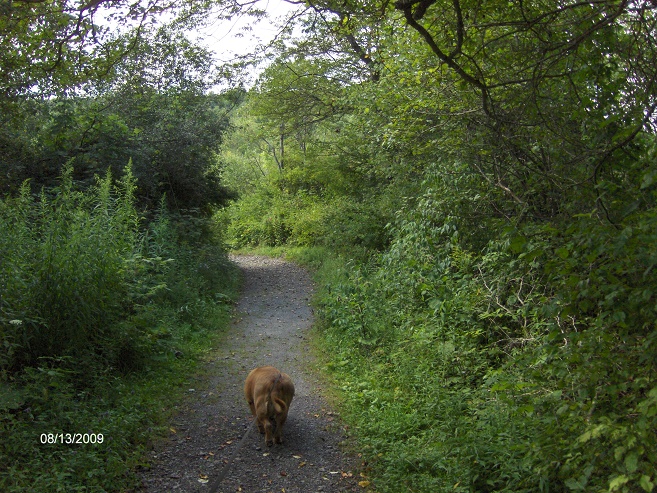 http://cnyhiking.com/HPIM8748.JPG