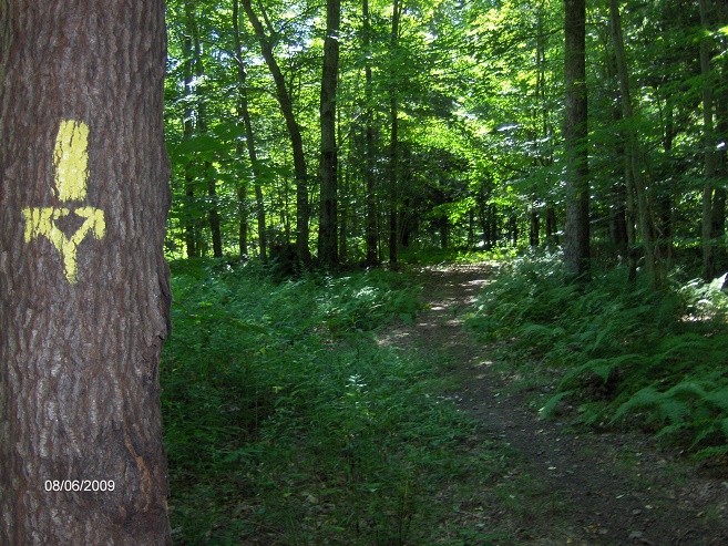http://cnyhiking.com/HPIM8440.JPG