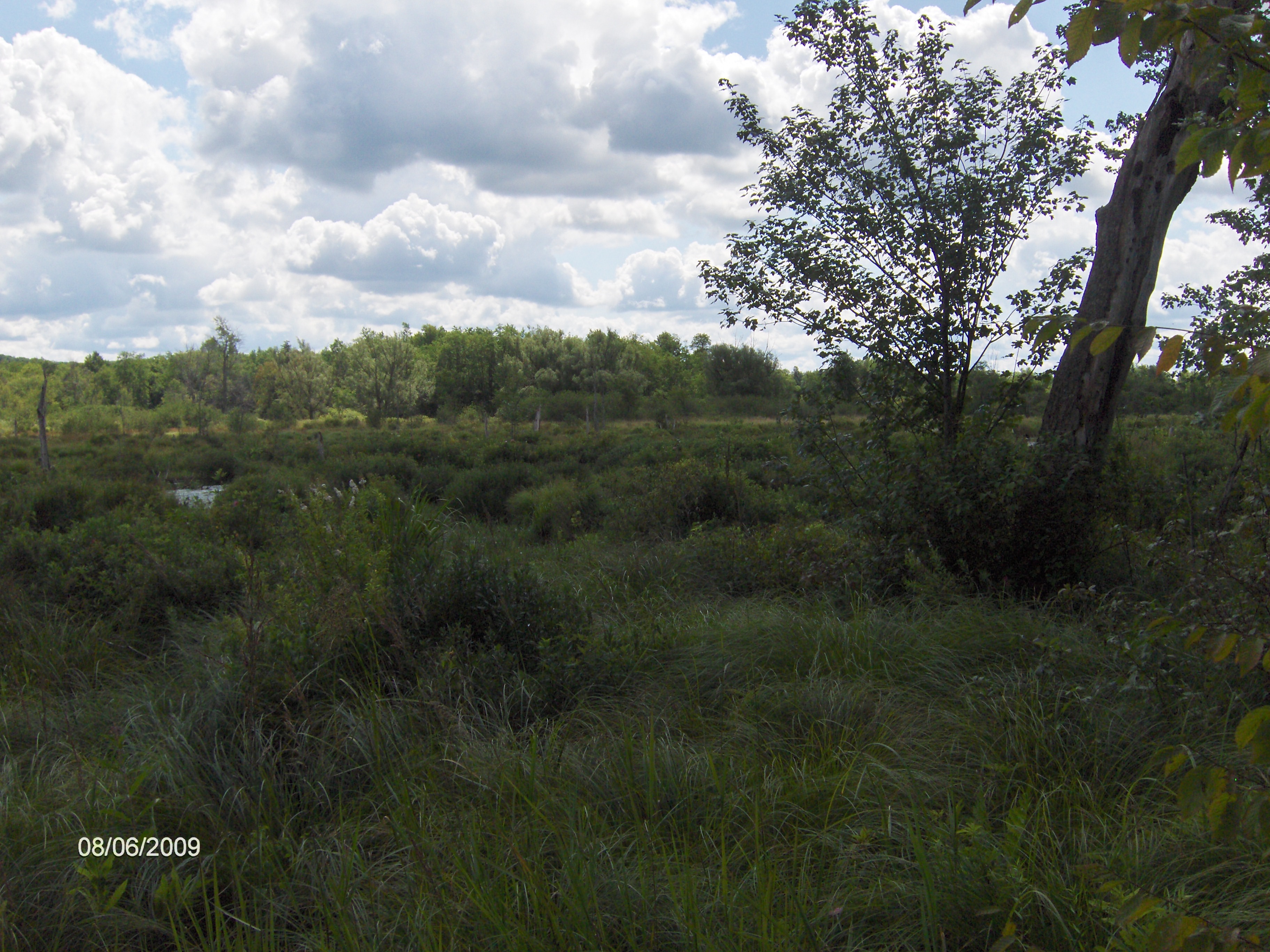 http://cnyhiking.com/HPIM8449.JPG