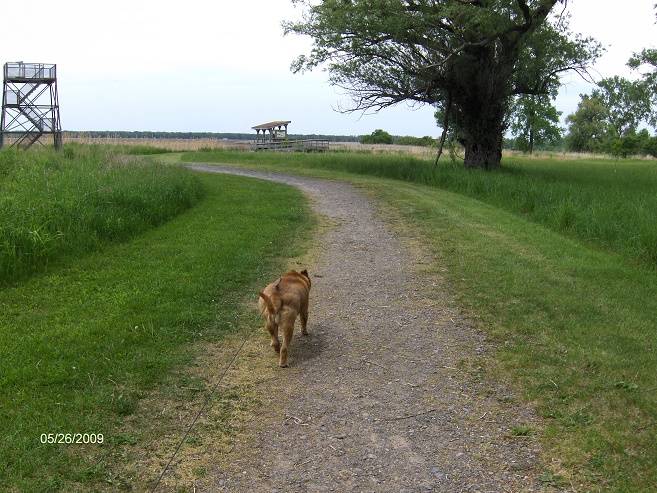 http://cnyhiking.com/HPIM7790.JPG